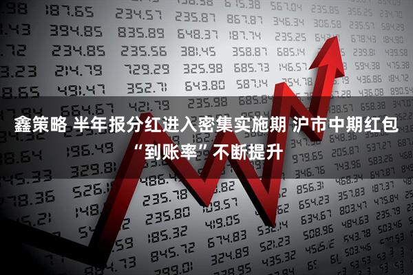 鑫策略 半年报分红进入密集实施期 沪市中期红包“到账率”不断提升